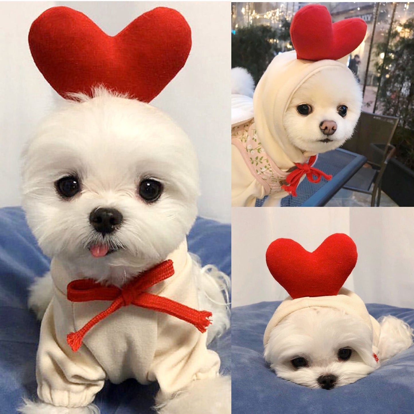Cute Fruit-Themed Puppy Hoodie - Thick Fleece Winter Coat for Small Dogs & Cats