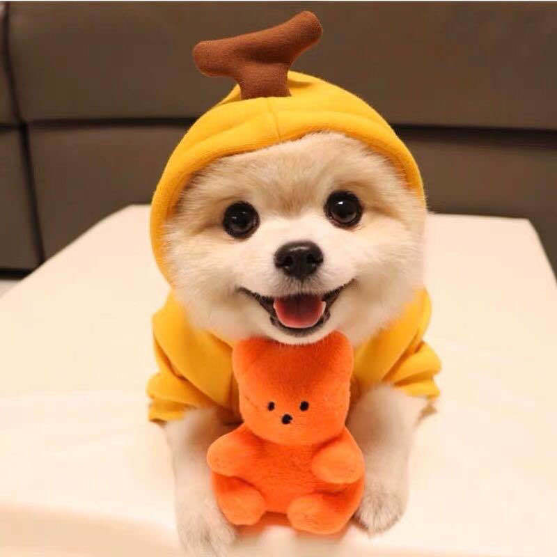 Cute Fruit-Themed Puppy Hoodie - Thick Fleece Winter Coat for Small Dogs & Cats