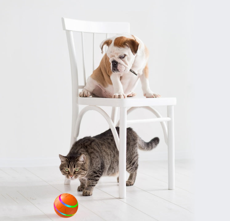 Intelligent Interactive Cat Ball Toy - USB Rechargeable 360° Rotating Robotic Pet Toy